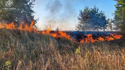 Учора на Черкащині приборкали 11 пожеж