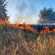 Учора на Черкащині приборкали 11 пожеж