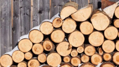 Філії Центрального лісового офісу реалізували майже 415 тис. кбм дров, найбільше купують на Черкащині