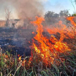 На Черкащині рятувальники ліквідували сім пожеж на відкритих територіях