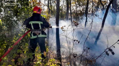 Рятувальники Черкащини ліквідовують пожежі на відкритих територіях