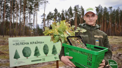 Осіння лісокультурна кампанія триває на Черкащині