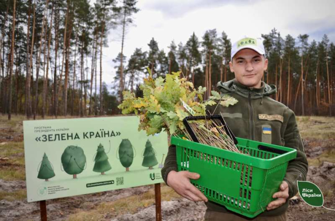 Осіння лісокультурна кампанія триває на Черкащині