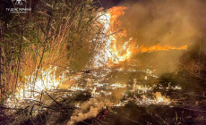 14 разів рятувальники Черкащини виїжджали на ліквідації пожеж на відкритих територіях