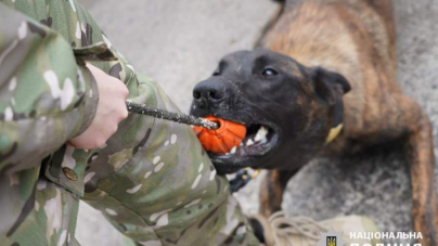 Три службові собаки із-за кордону отримав кінологічний центр поліції Черкащини