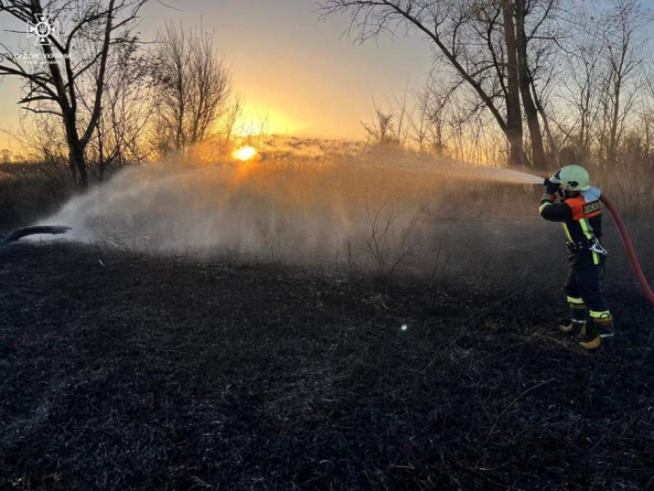 Рятувальники ліквідували 4 пожежі сухої рослинності