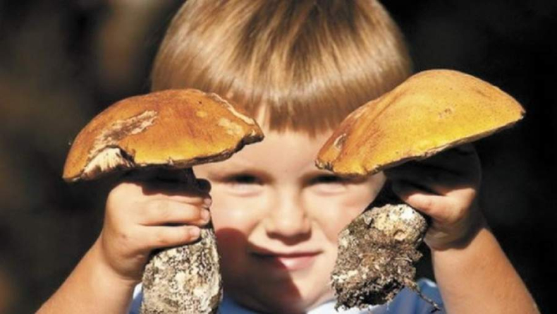 У Черкасах 2-річна дитина отруїлася грибами
