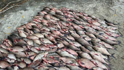 Житель Золотоніщини наловив риби на понад 2 мільйони гривень
