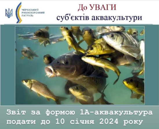 Суб’єктам аквакультури необхідно подати річні звіти до 10 січня