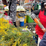 У Черкасах до Міжнародного жіночого дня традиційно запрацює квітковий ярмарок