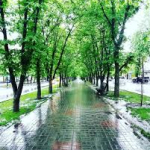 Менше ніж за тиждень на Черкащині випало 90-140% місячної норми опадів