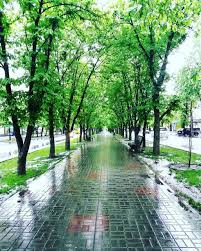 Менше ніж за тиждень на Черкащині випало 90-140% місячної норми опадів