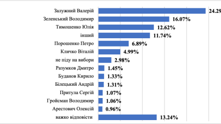 Соціологічне опитування 19-24 грудня 2024 року