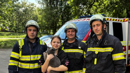 Дві доби в пастці: у Черкасах рятувальники зняли кота із даху багатоповерхівки