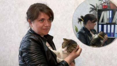 У міськраді на Черкащині «працює» кіт