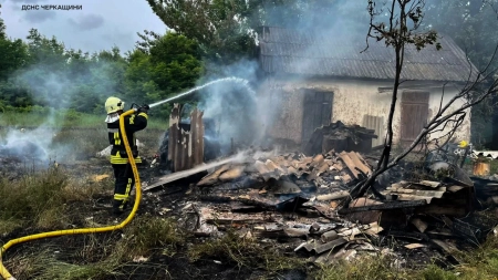 На Черкащині внаслідок пожежі загинули два кролі