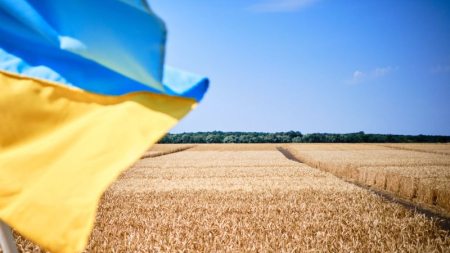 Черкащина жнивує: область планує зібрати до 4 млн тонн зерна