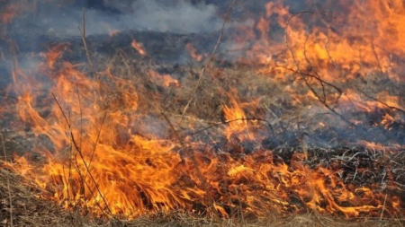 На Золотоніщині чоловік отримав опіки під час пожежі сухостою
